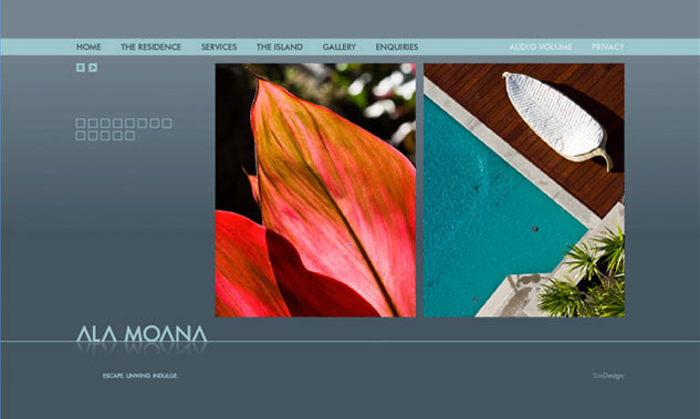 Ala Moana Website Design