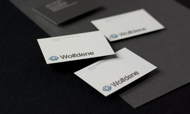 Wolfdene Brand Identity Design