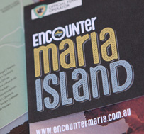 Encounter Maria Island